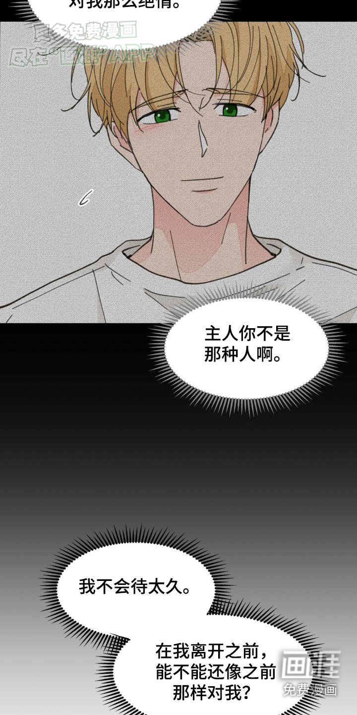 第164章：【番外】你觉得怎样