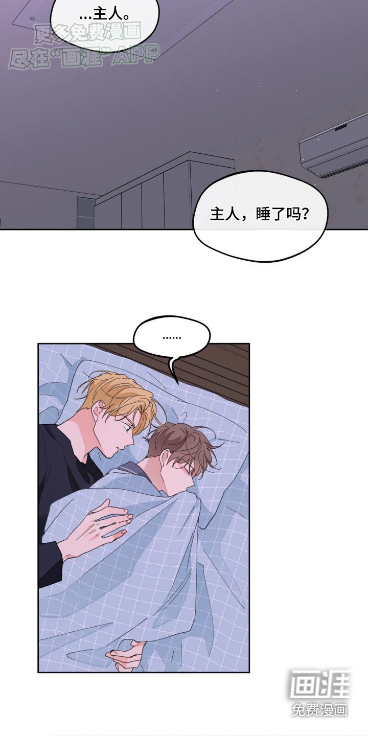 第171章：【番外】主人睡了嘛