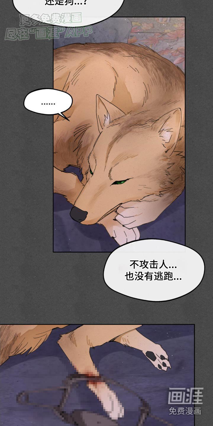 第172章：【番外】救治