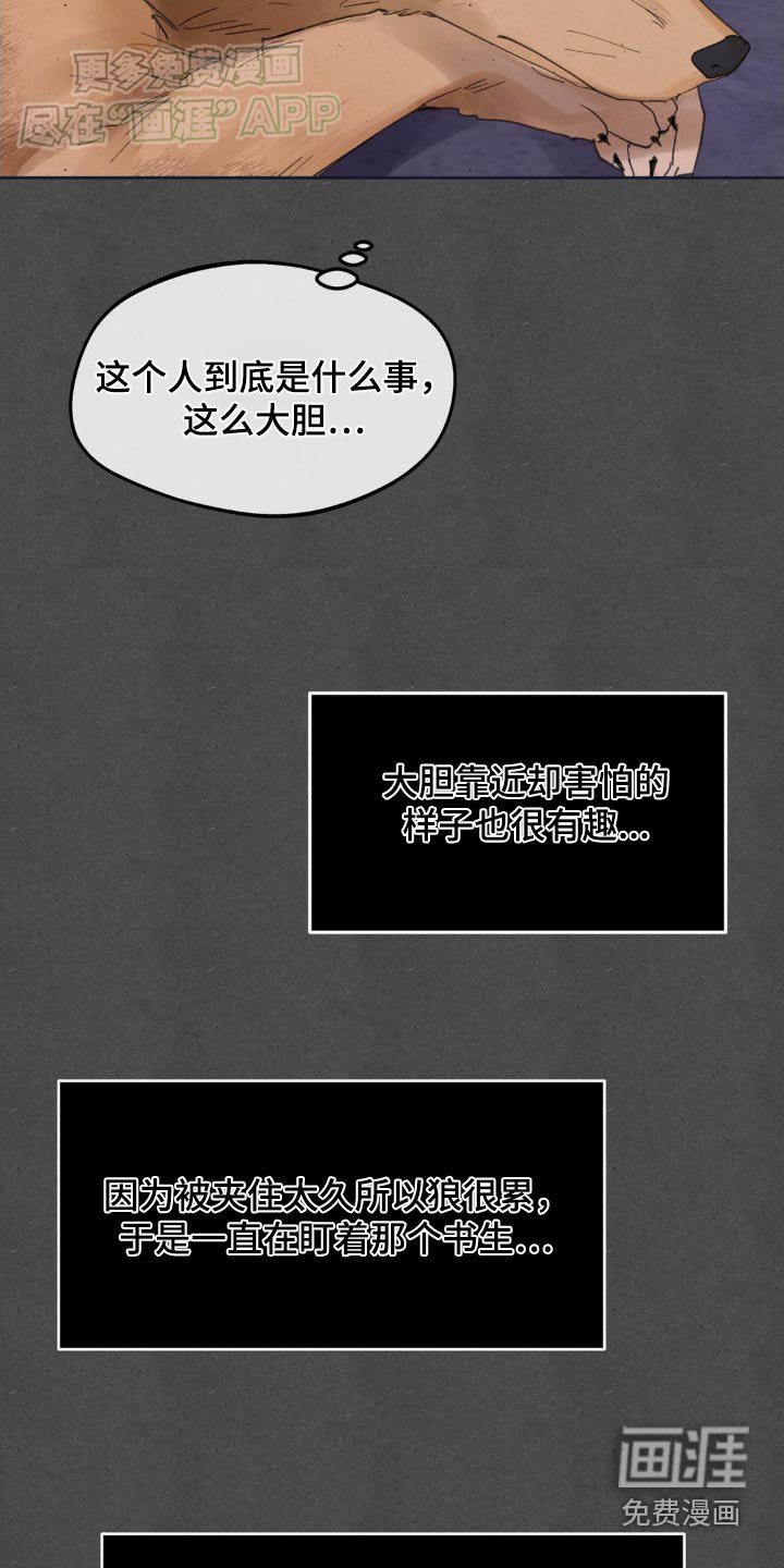 第172章：【番外】救治