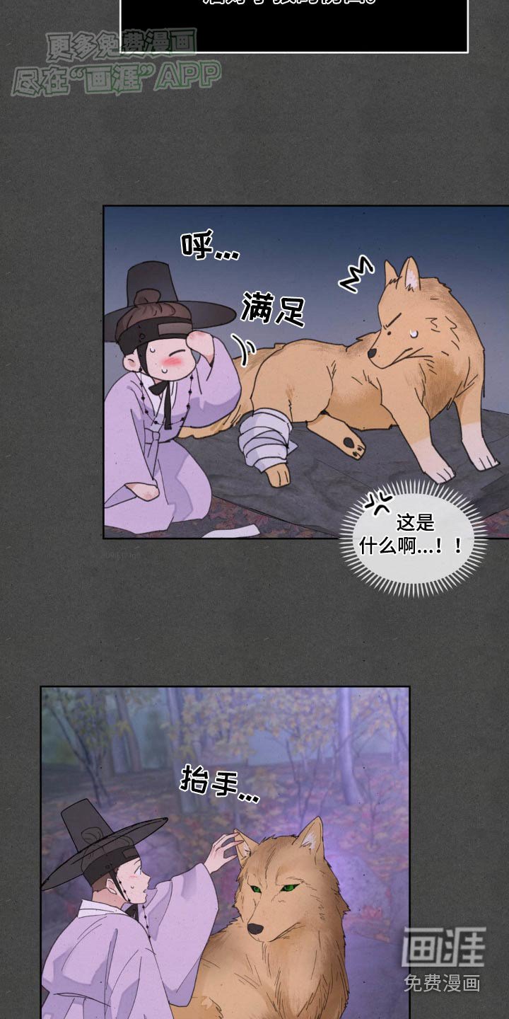 第172章：【番外】救治