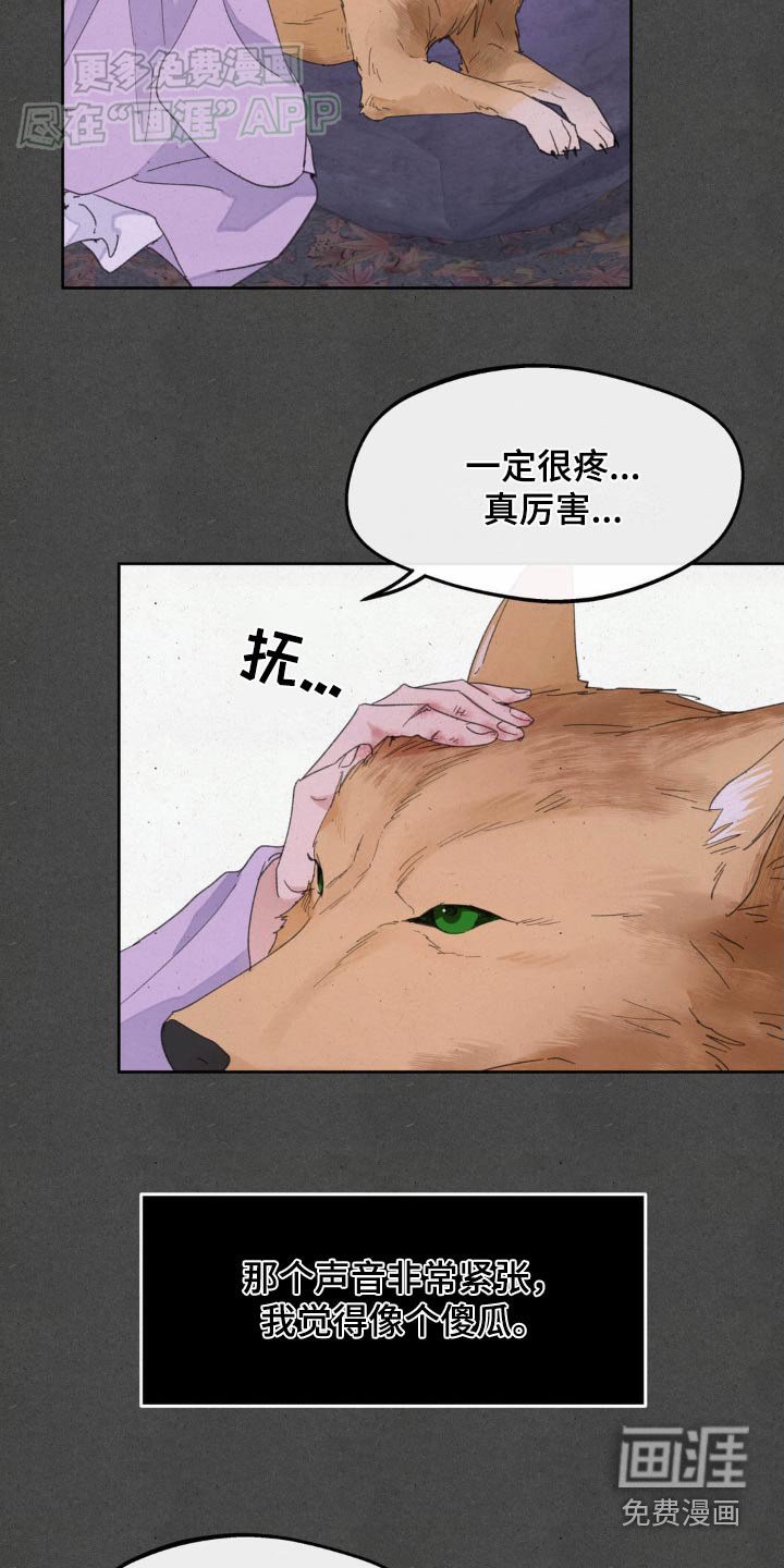 第172章：【番外】救治