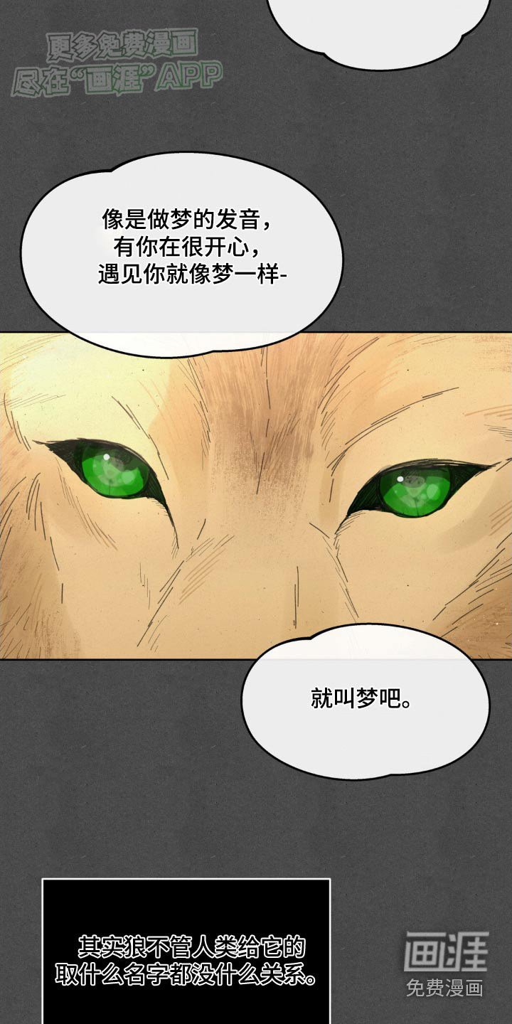 第172章：【番外】救治