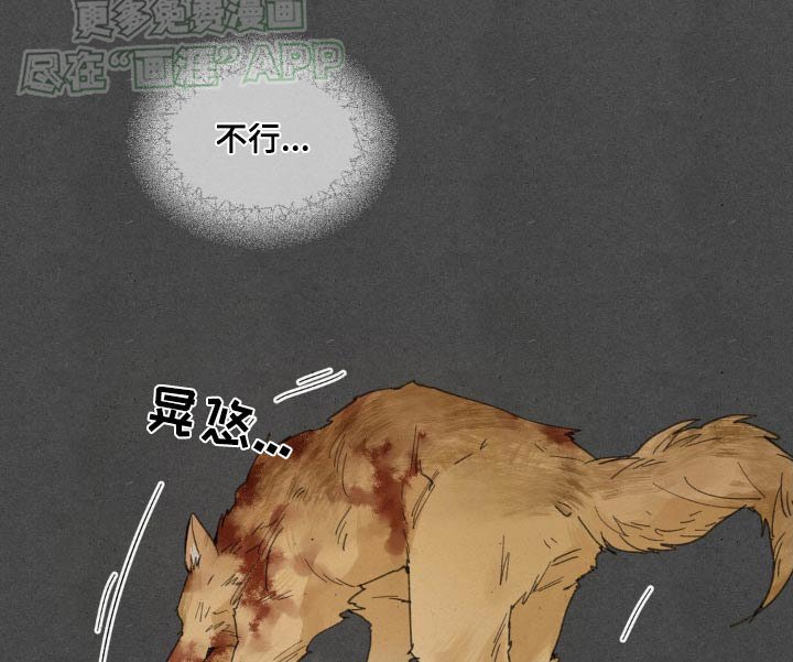 第174章：【番外】快起来