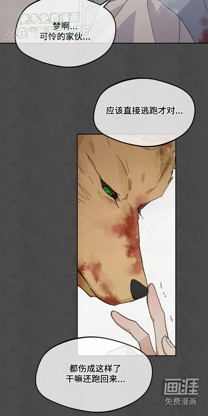 第174章：【番外】快起来