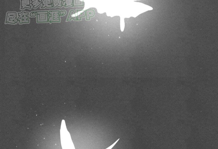 第175章：【番外】注定