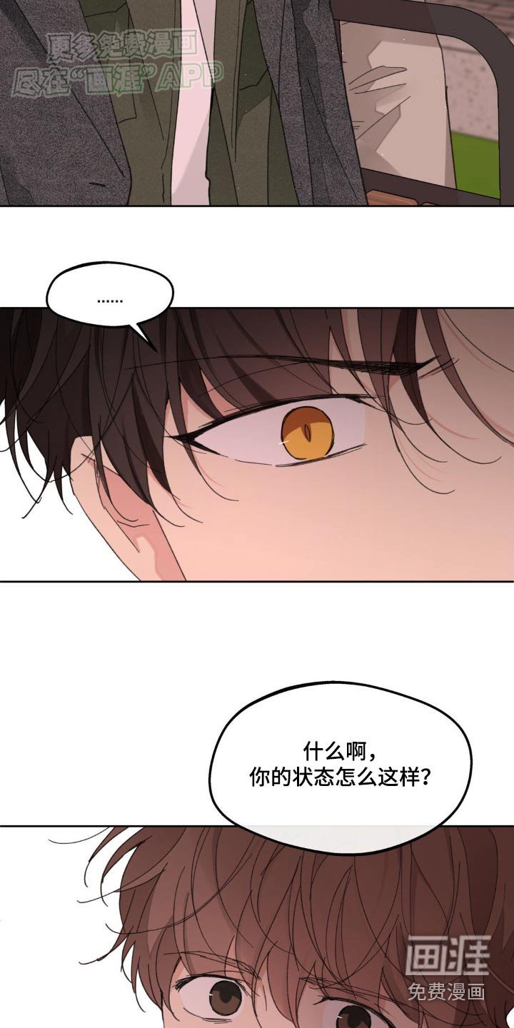 第177章：【番外】爱过