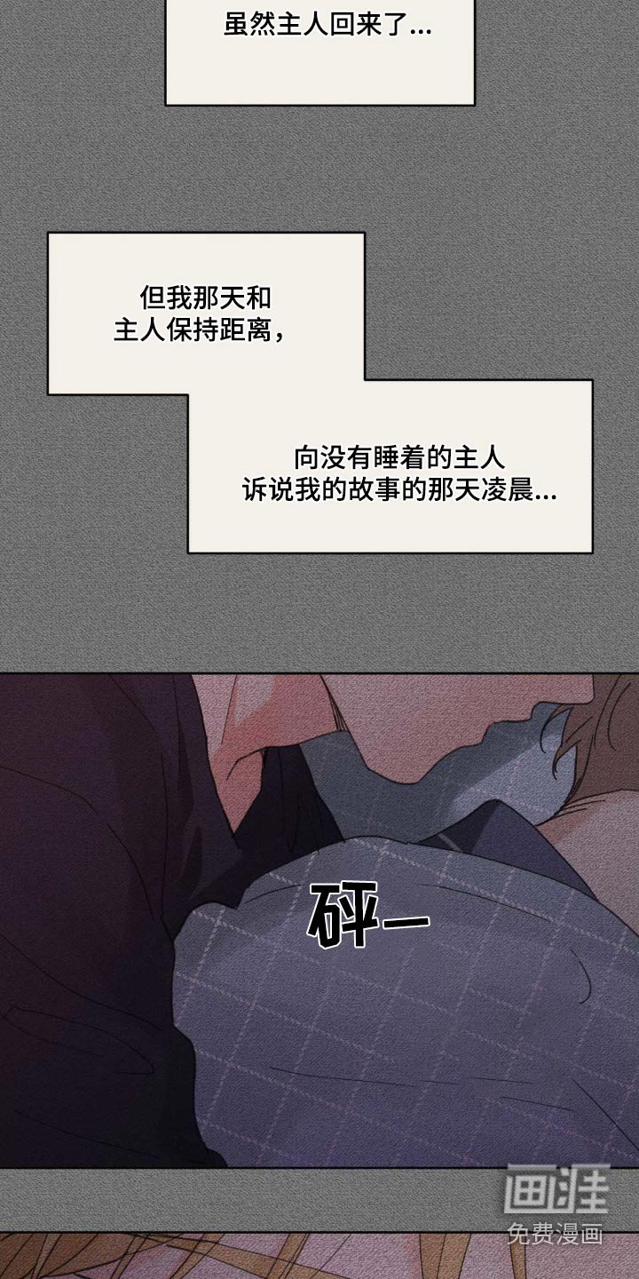 第183章：【番外】决定离开