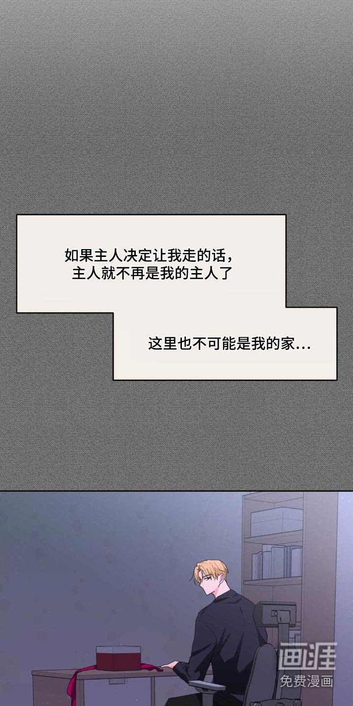 第183章：【番外】决定离开