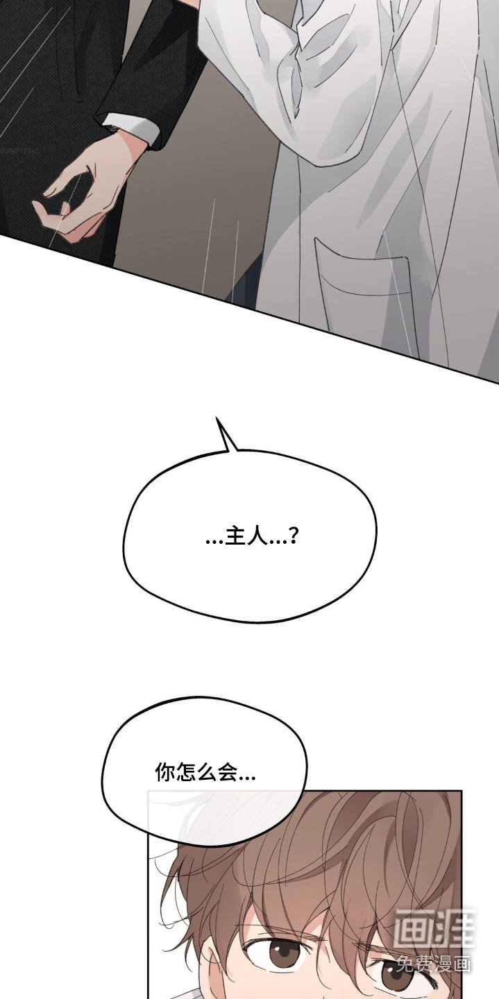 第185章：【番外】心软