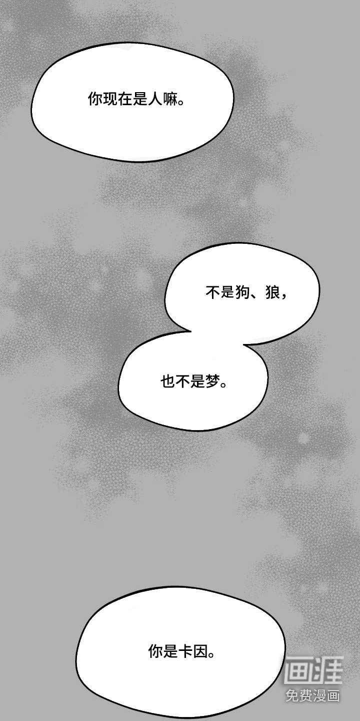 第188章：【番外】温柔的人