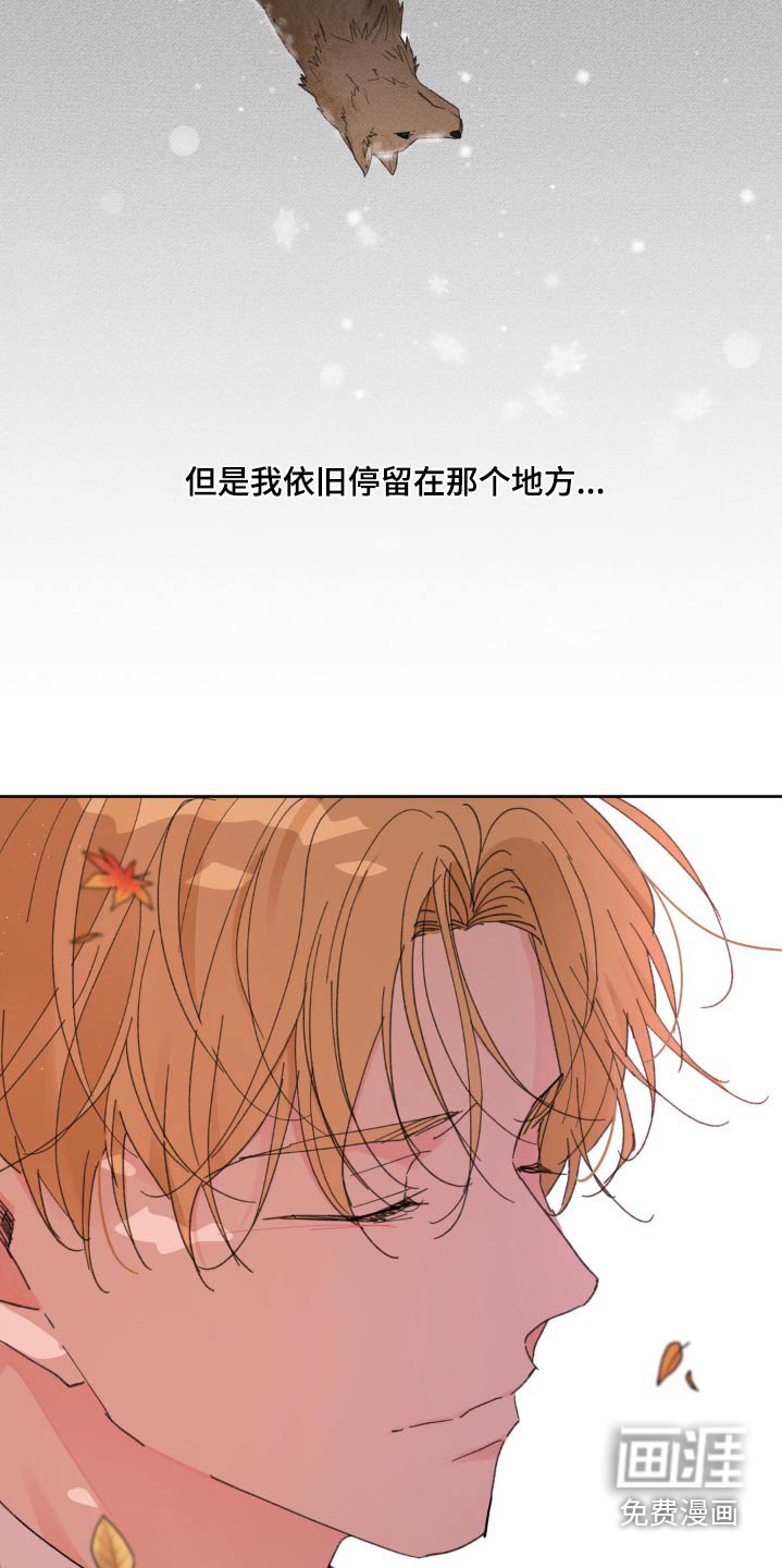 第188章：【番外】温柔的人