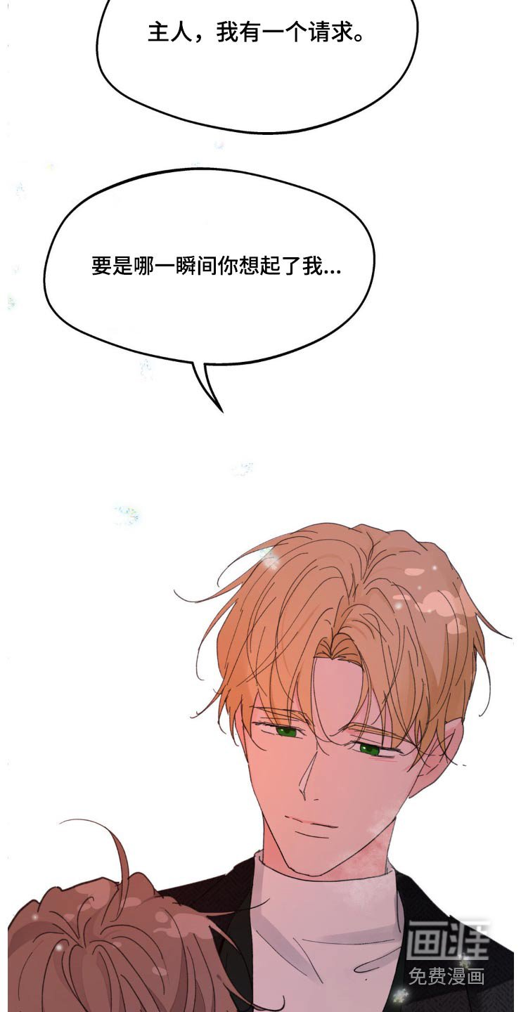 第189章：【番外】戒指