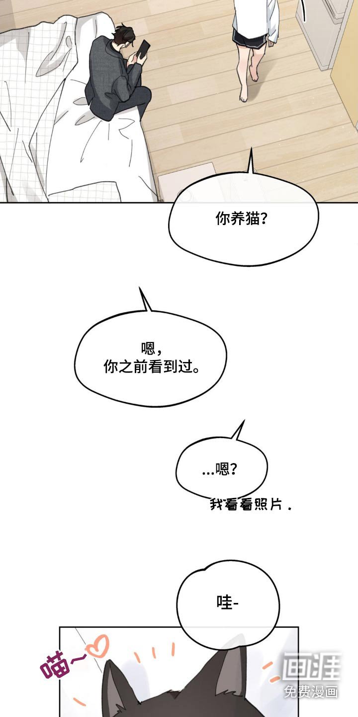 第198章：【番外】盯着