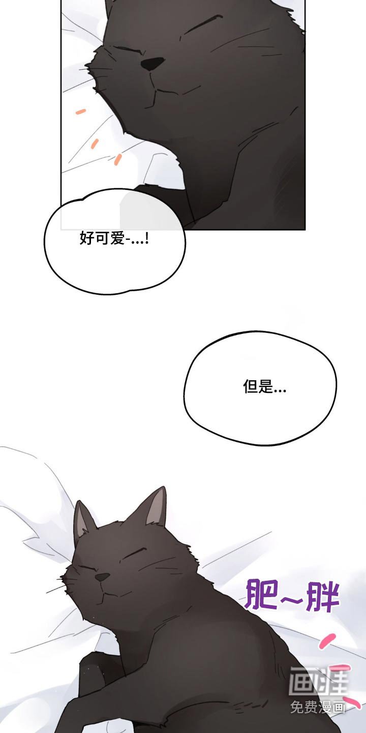 第198章：【番外】盯着