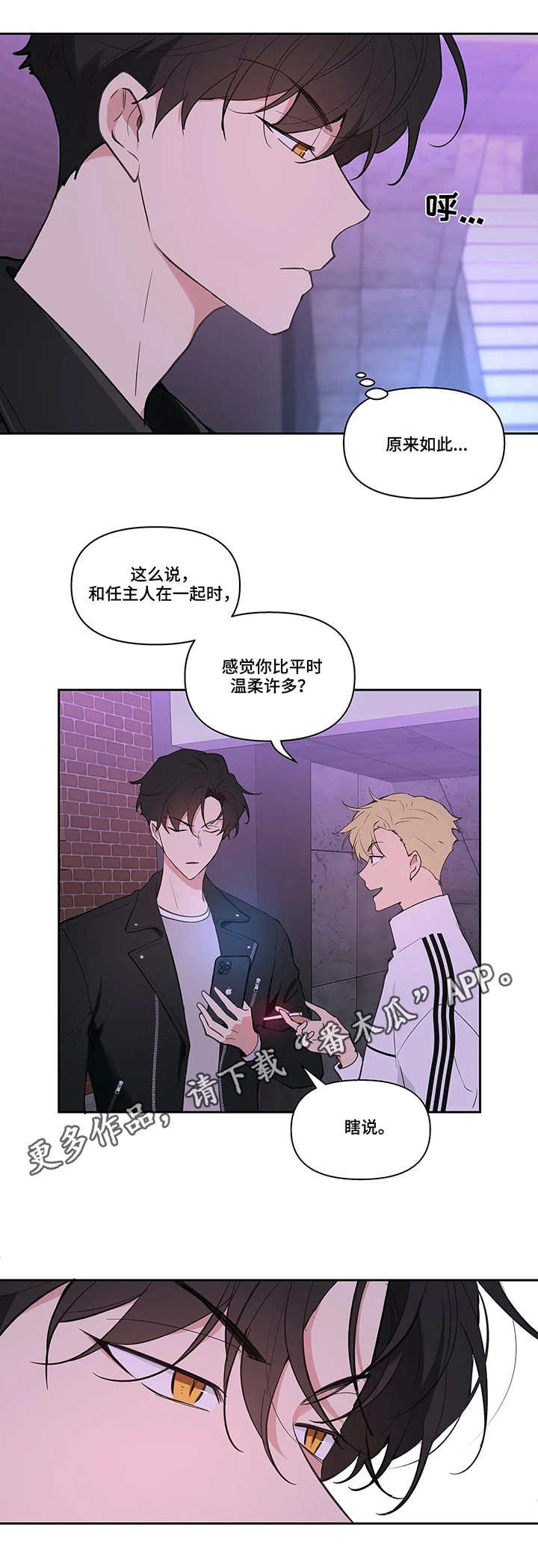 第20章：拍素材