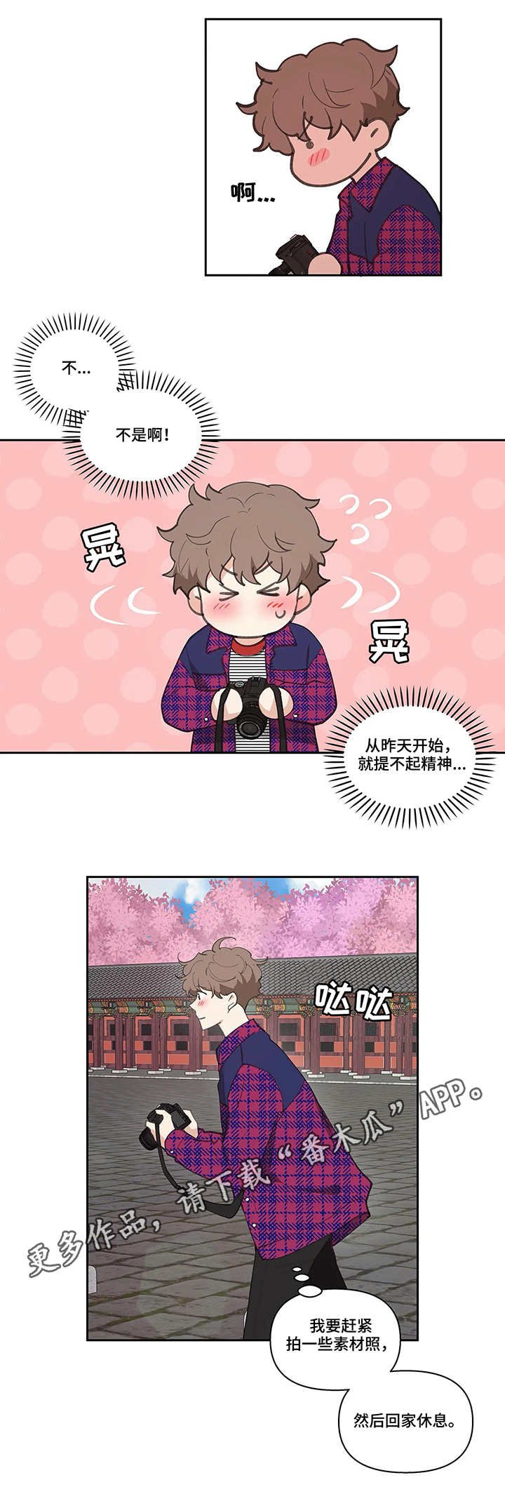 第20章：拍素材