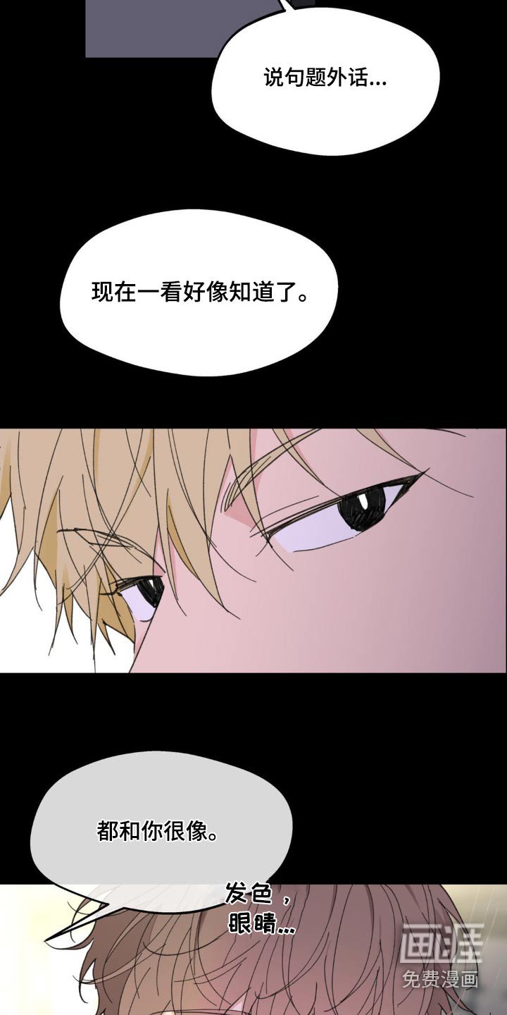 第202章：【番外】什么时候开始喜欢