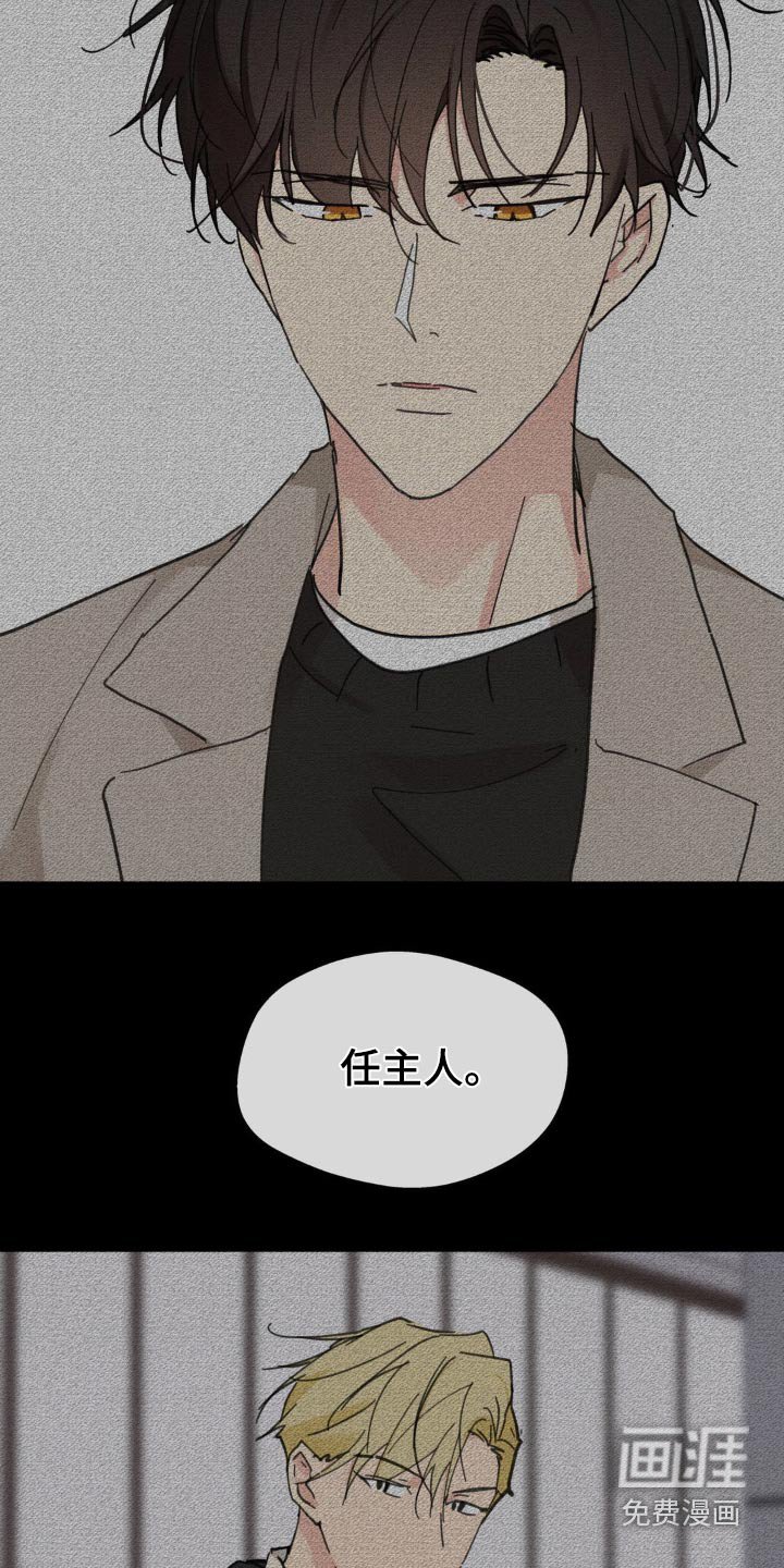 第202章：【番外】什么时候开始喜欢
