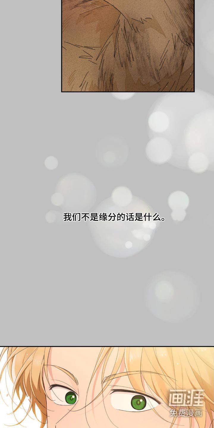 第204章：【番外】感受快乐