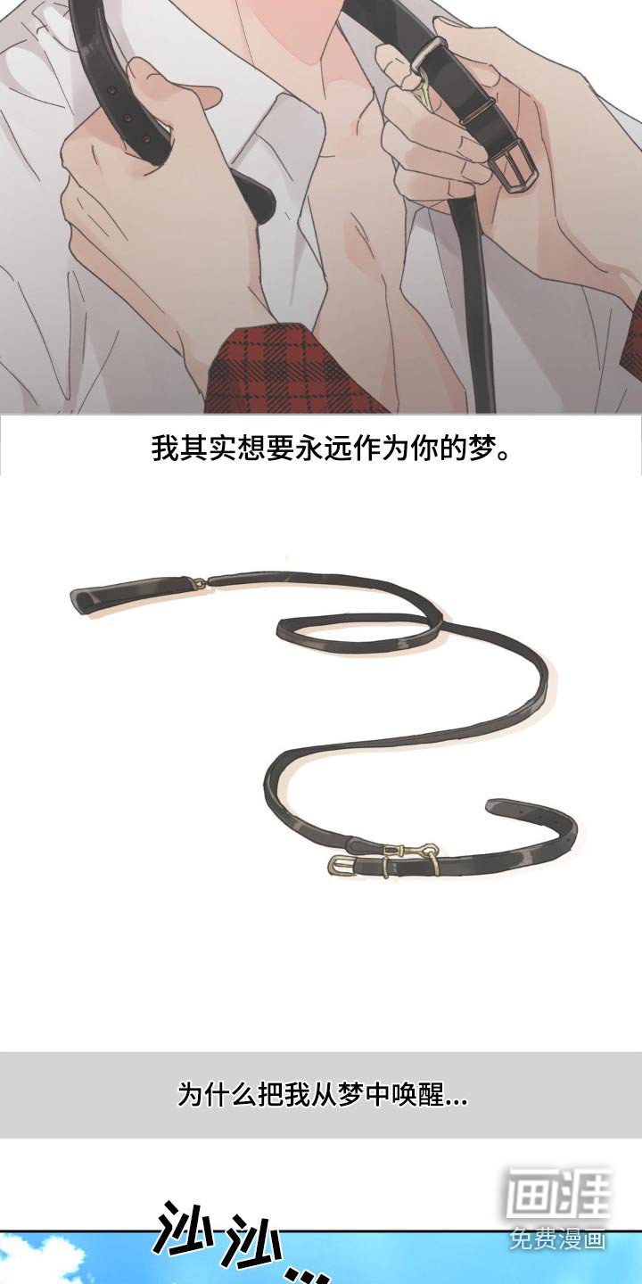 第205章：【番外】我的存在