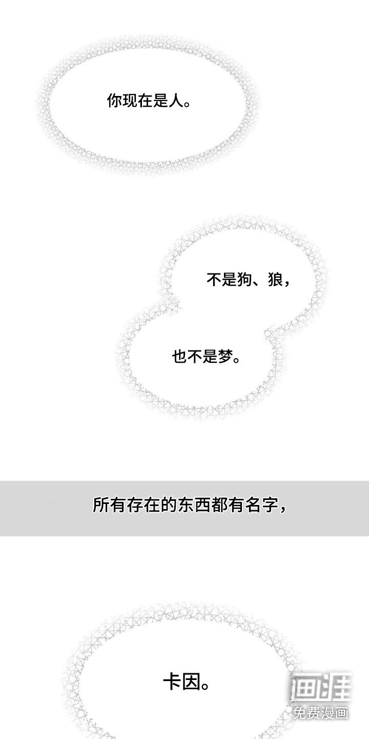 第205章：【番外】我的存在