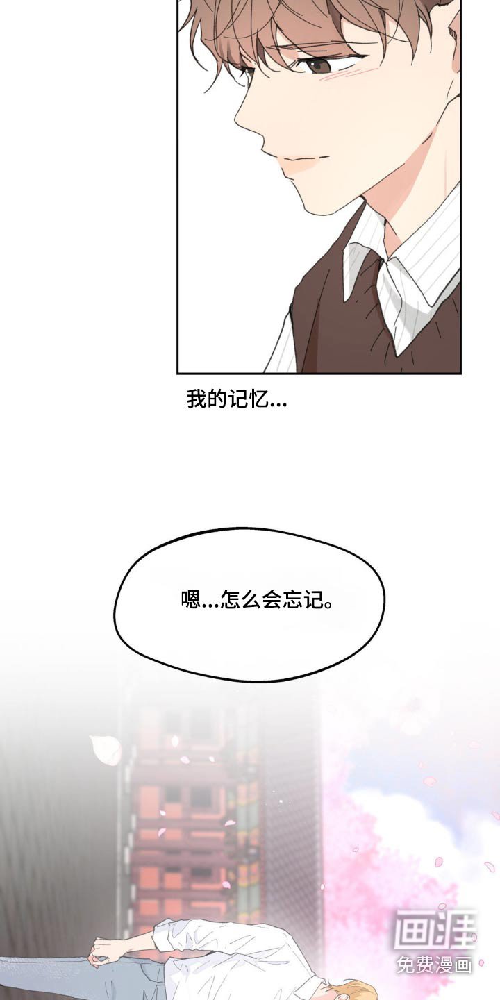 第208章：【番外】应用软件