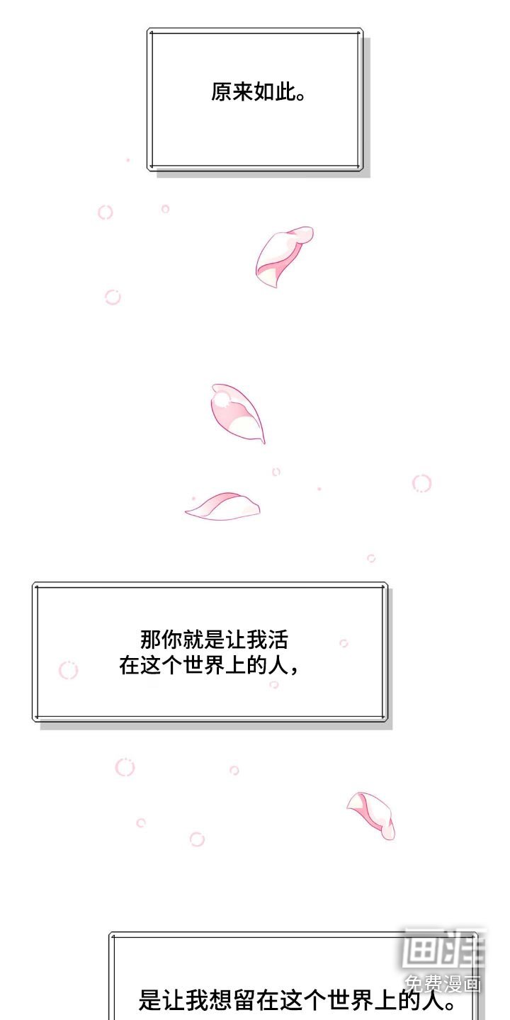 第209章：【番外】幸福