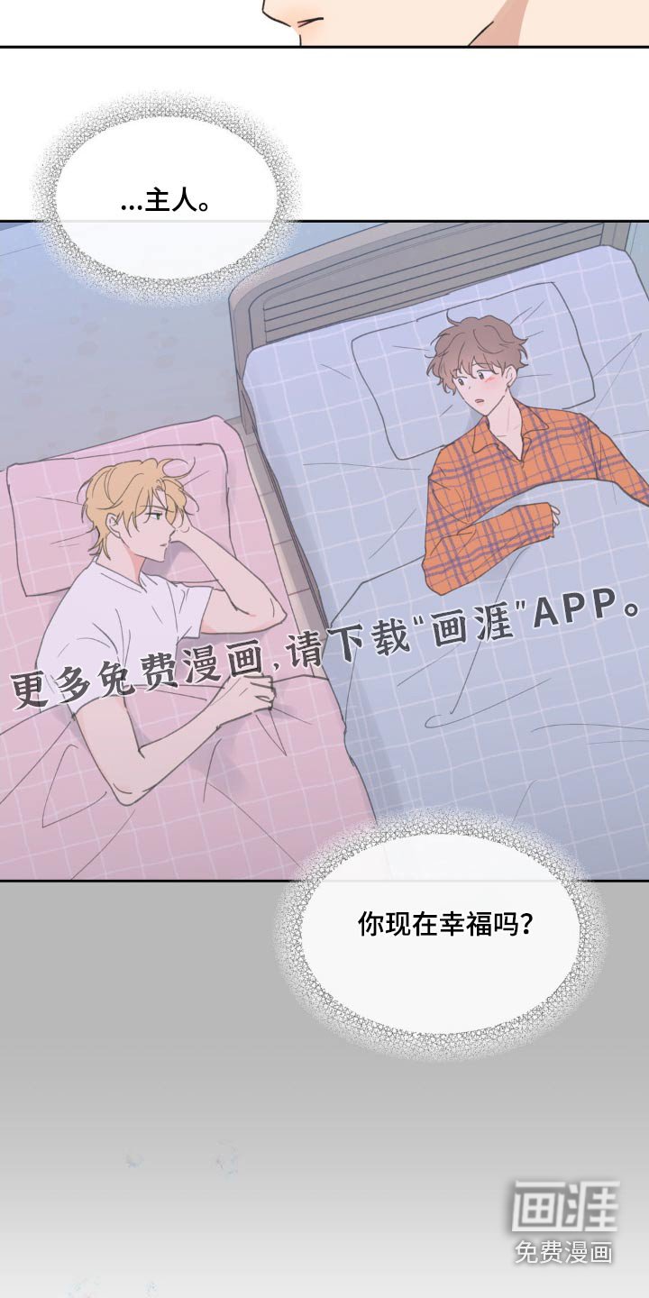 第209章：【番外】幸福