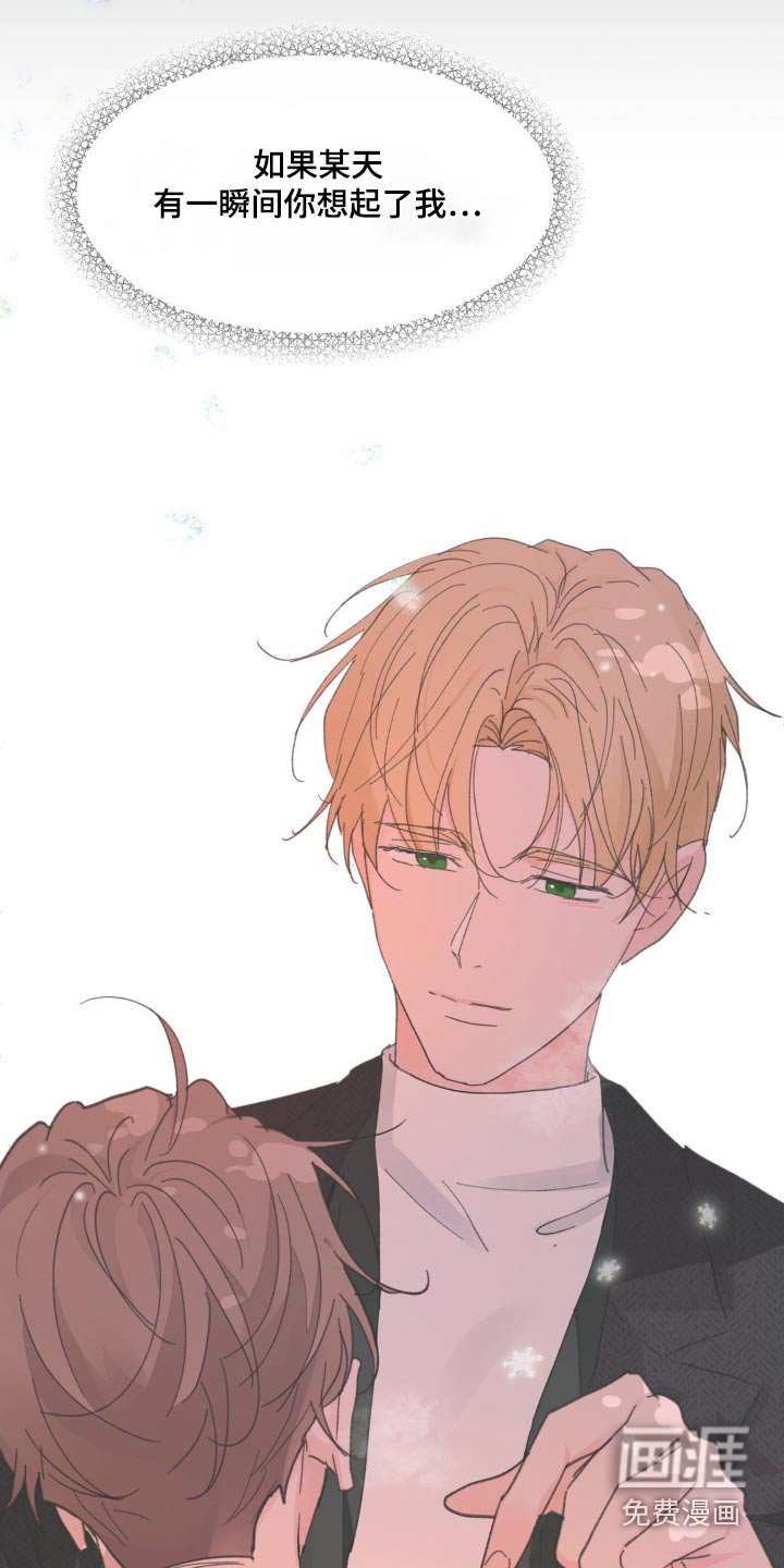 第209章：【番外】幸福