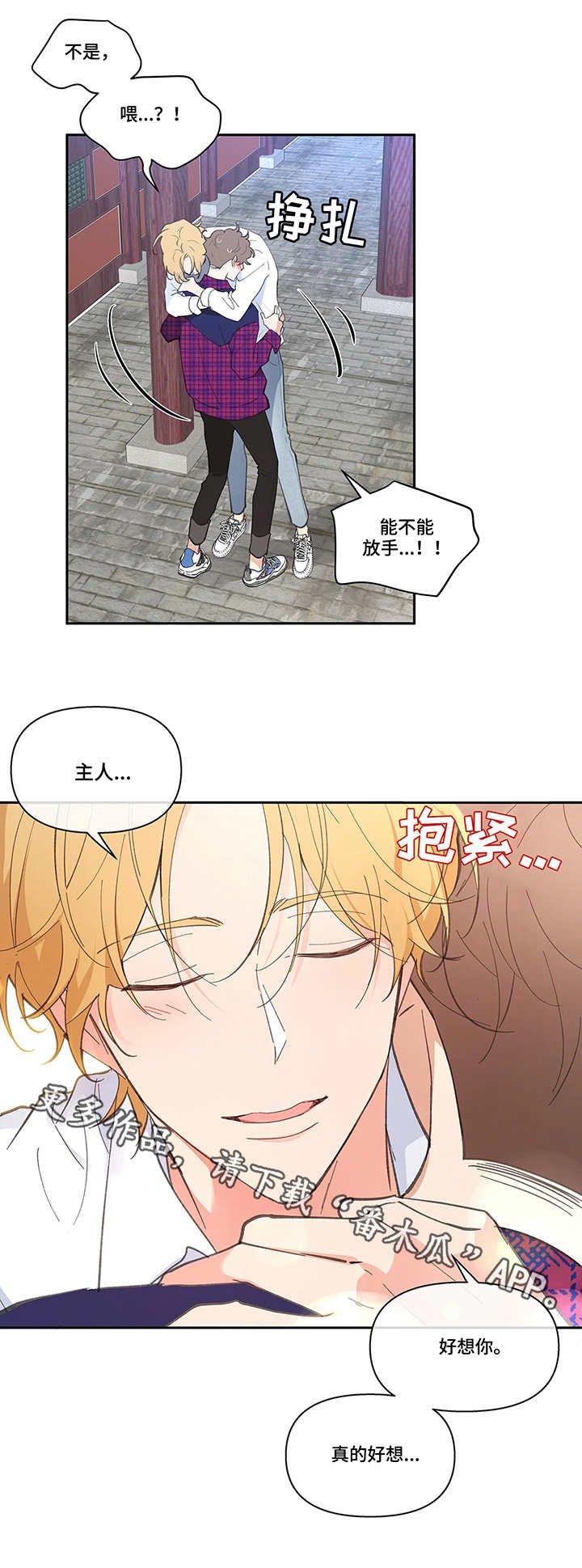 第21章：老外