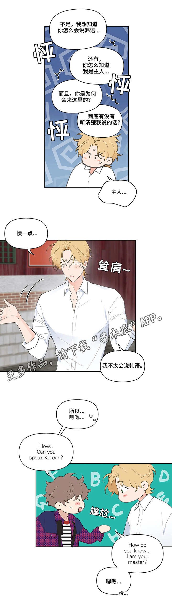 第21章：老外