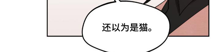第211章：【番外】通知书