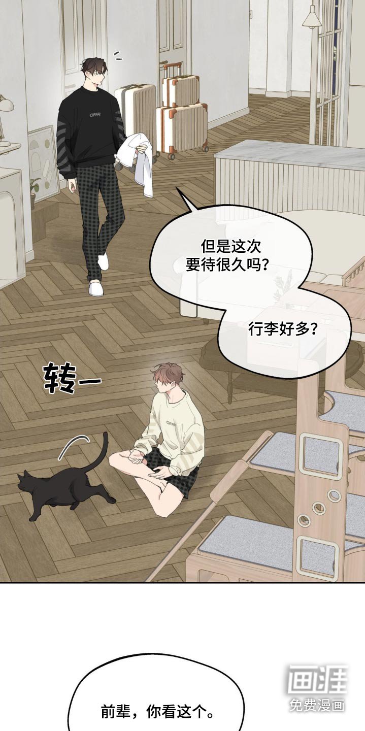 第211章：【番外】通知书