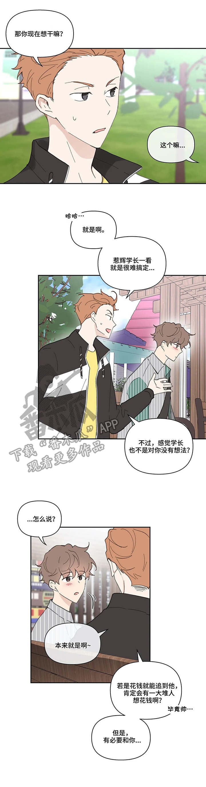 第36章：想法
