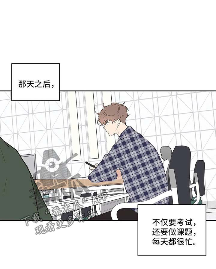 第40章：再次见面