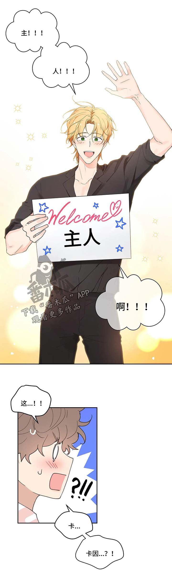 第41章：国外旅行