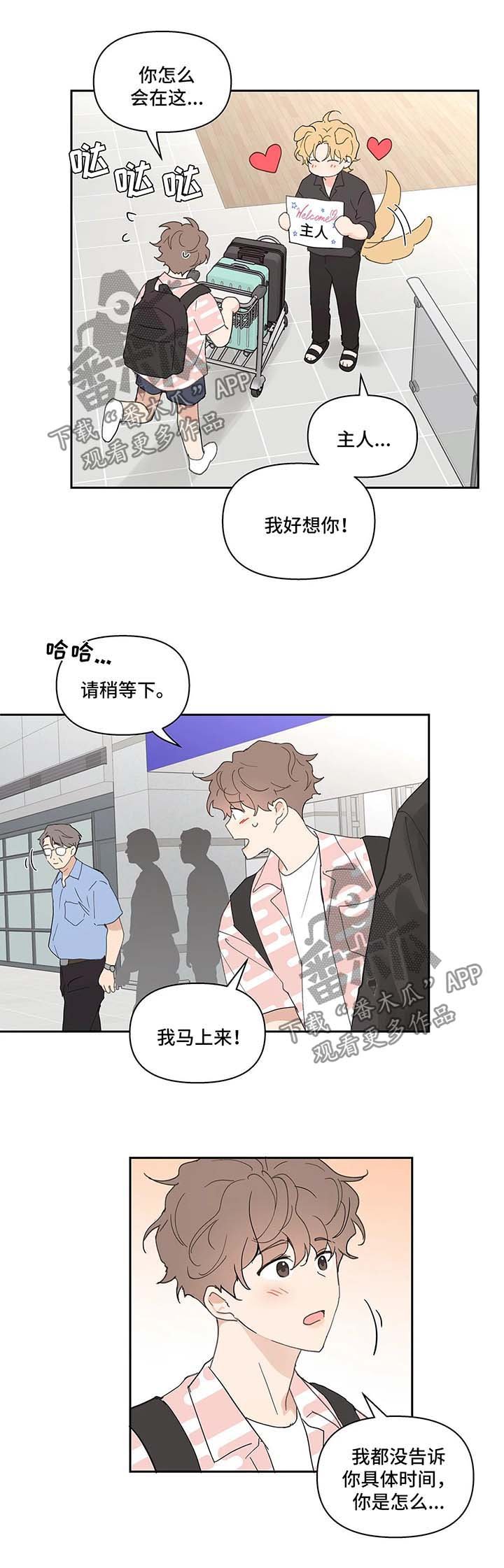 第41章：国外旅行