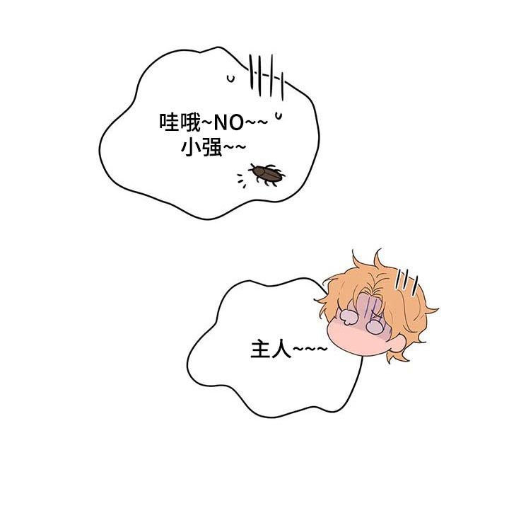 第51章：被骗了