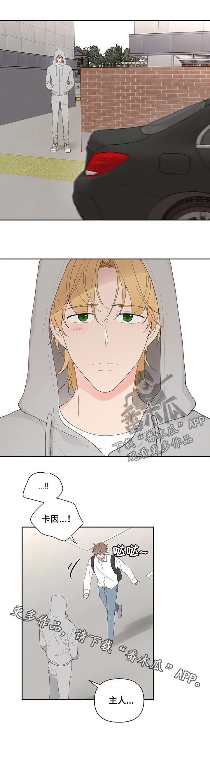 第56章：回家