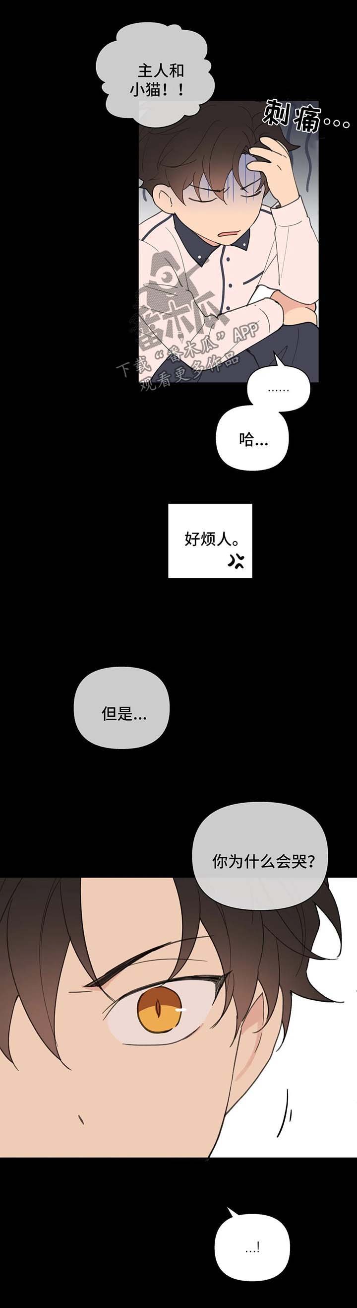 第67章：喜欢漂亮的