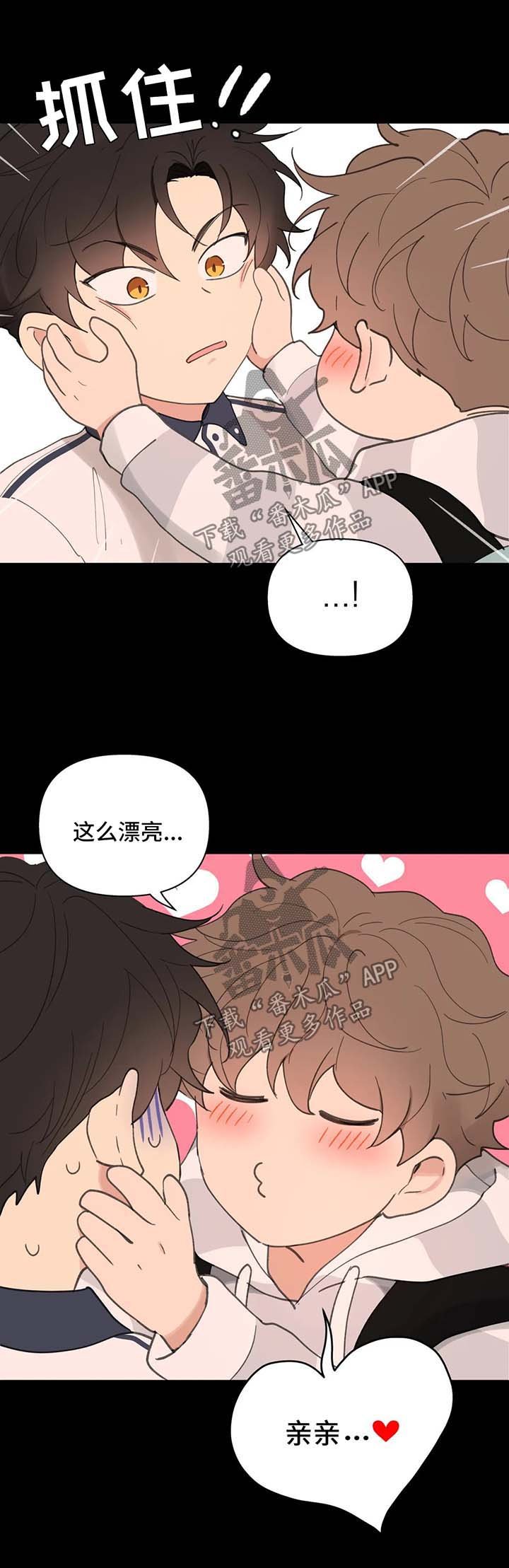 第67章：喜欢漂亮的