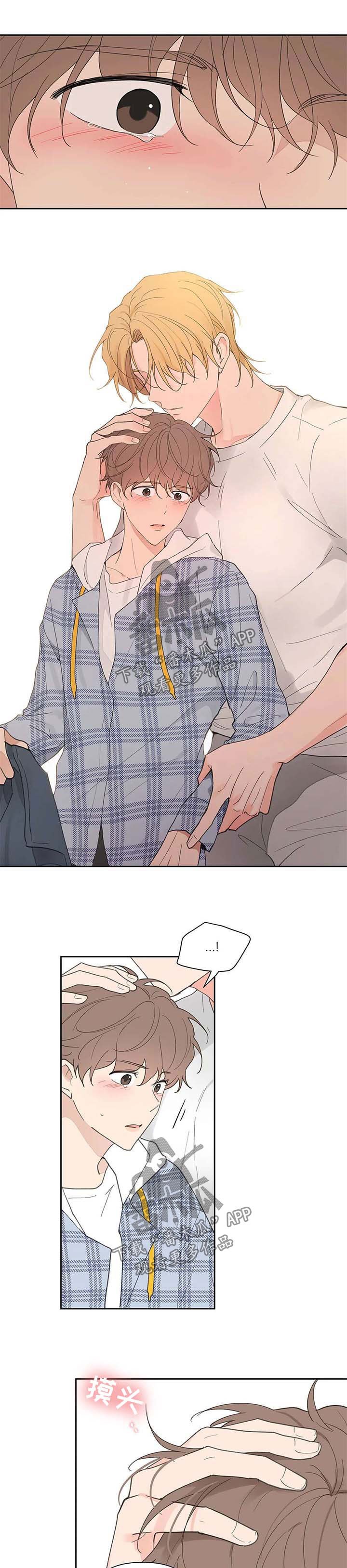 第74章：不能喜欢他
