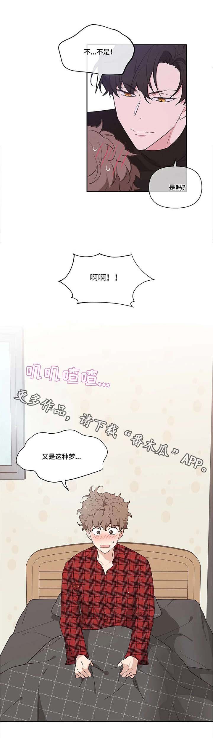 第8章：冷淡