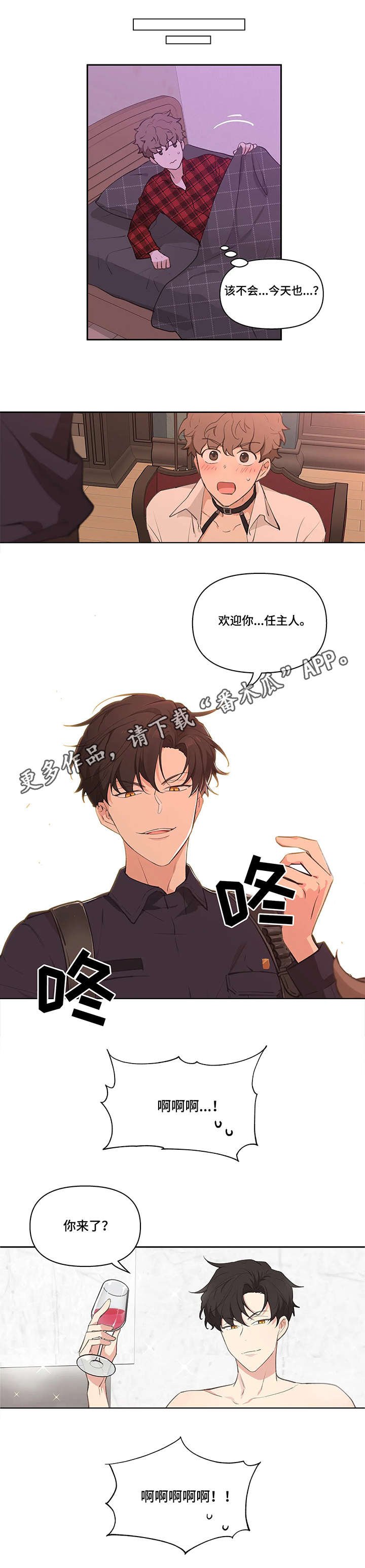 第8章：冷淡