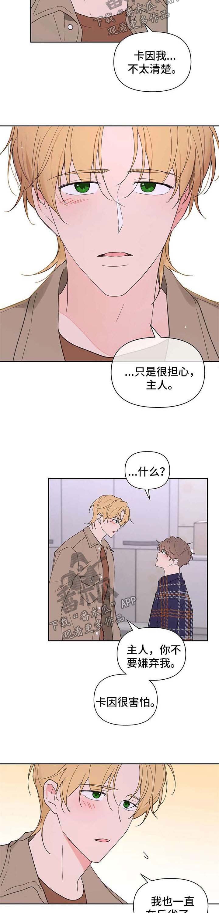 第81章：原谅