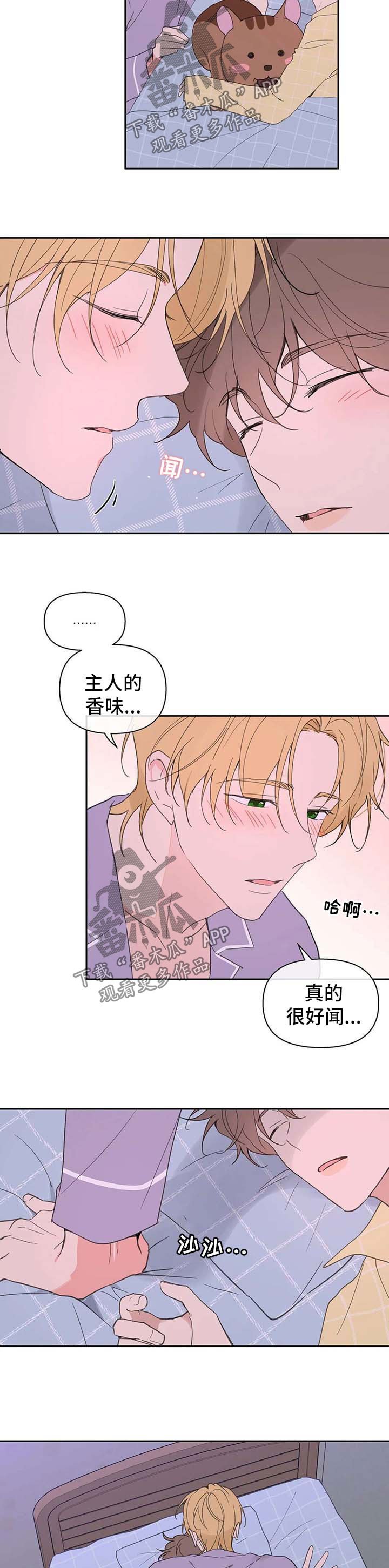 第84章：心跳如鼓