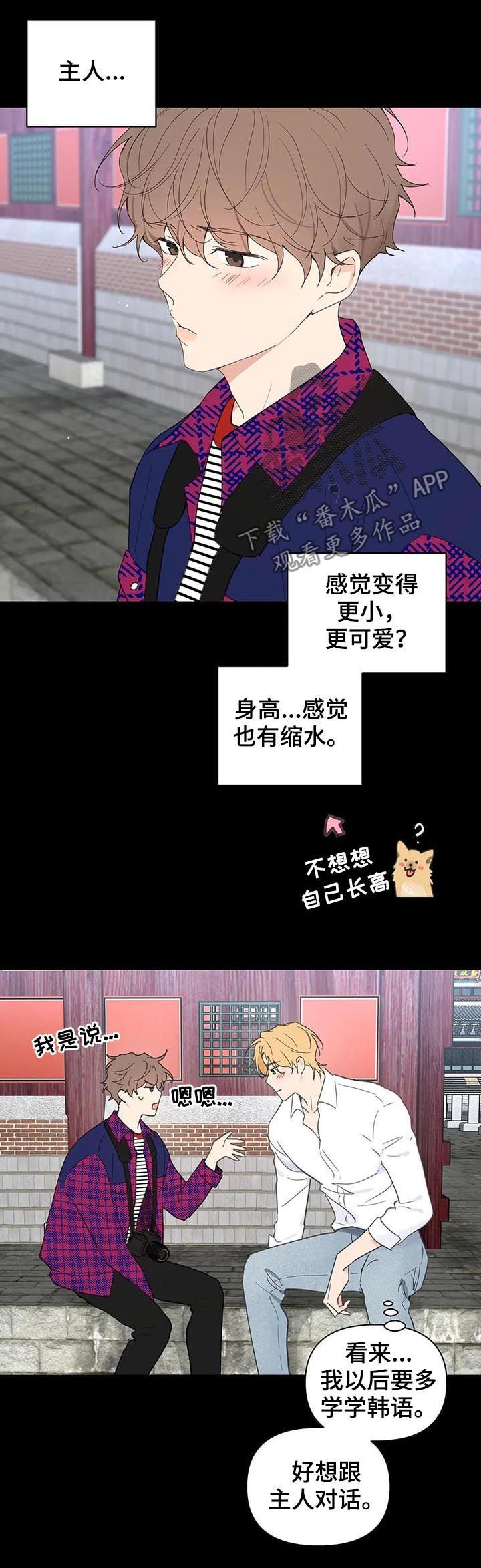 第95章：忠诚