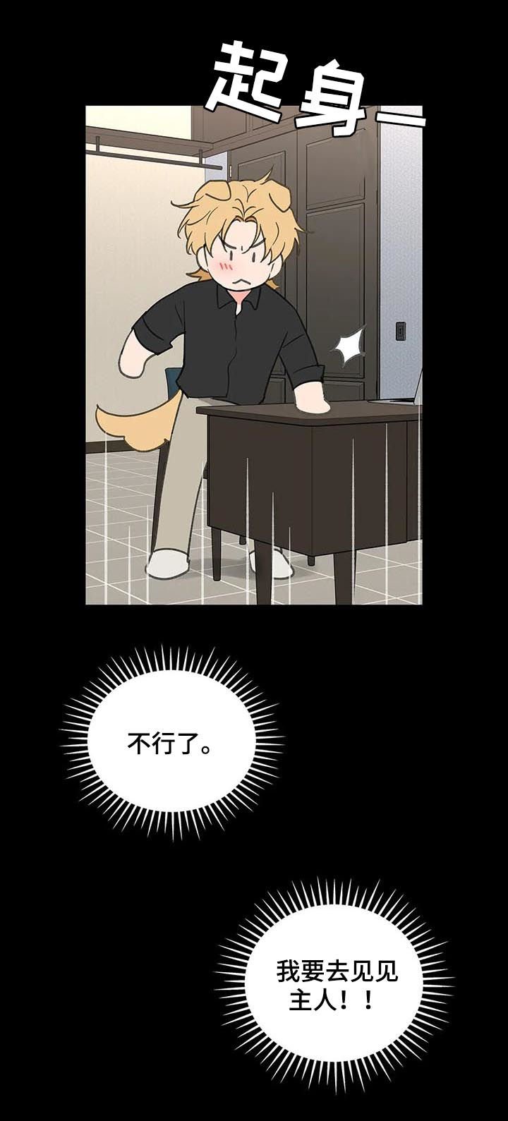第95章：忠诚