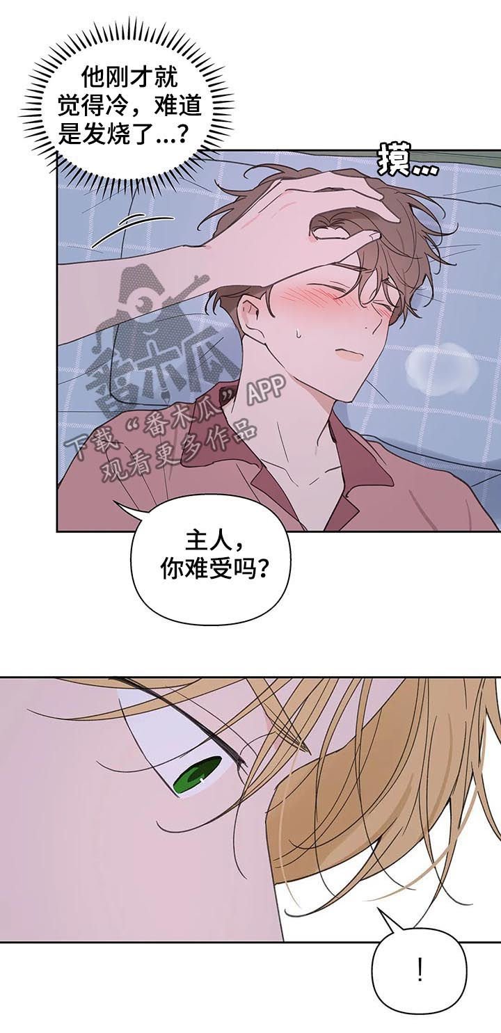 第96章：喂药